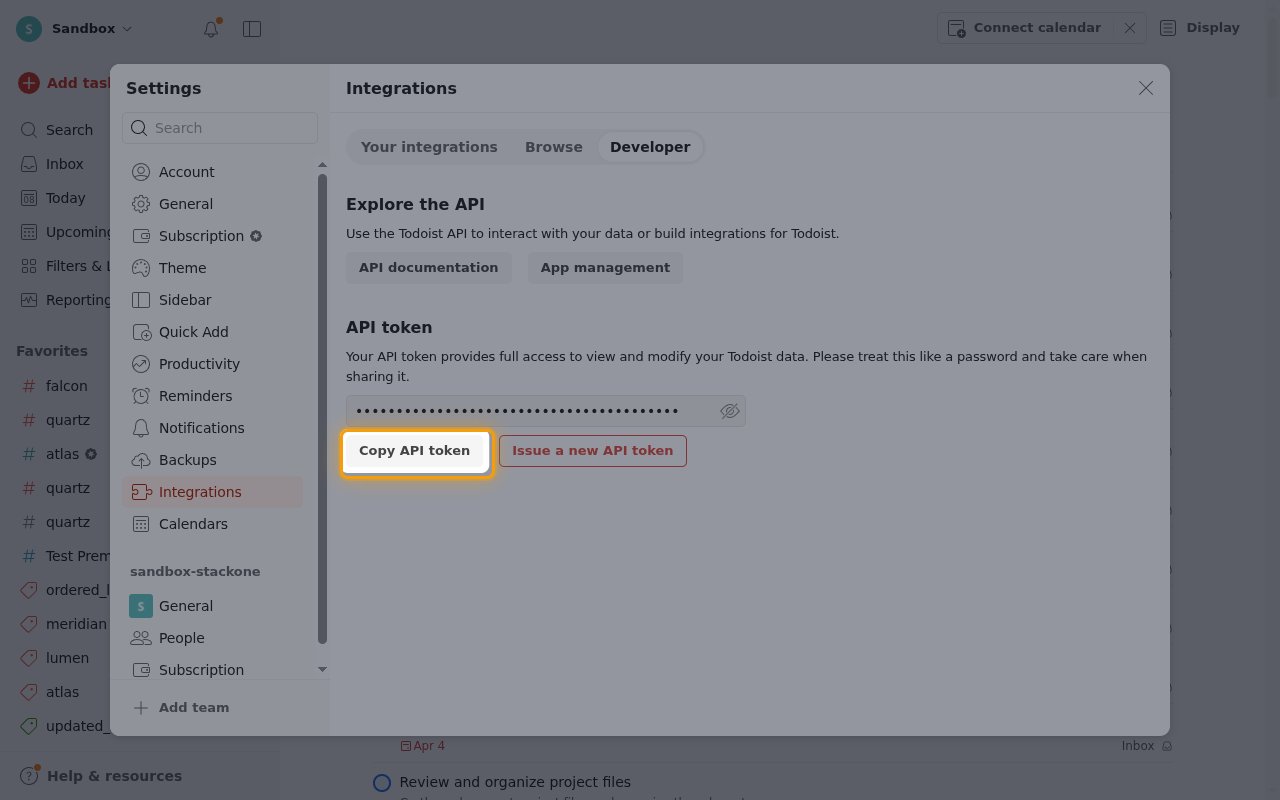 The Developer tab with the Copy API token button highlighted and the token value hidden