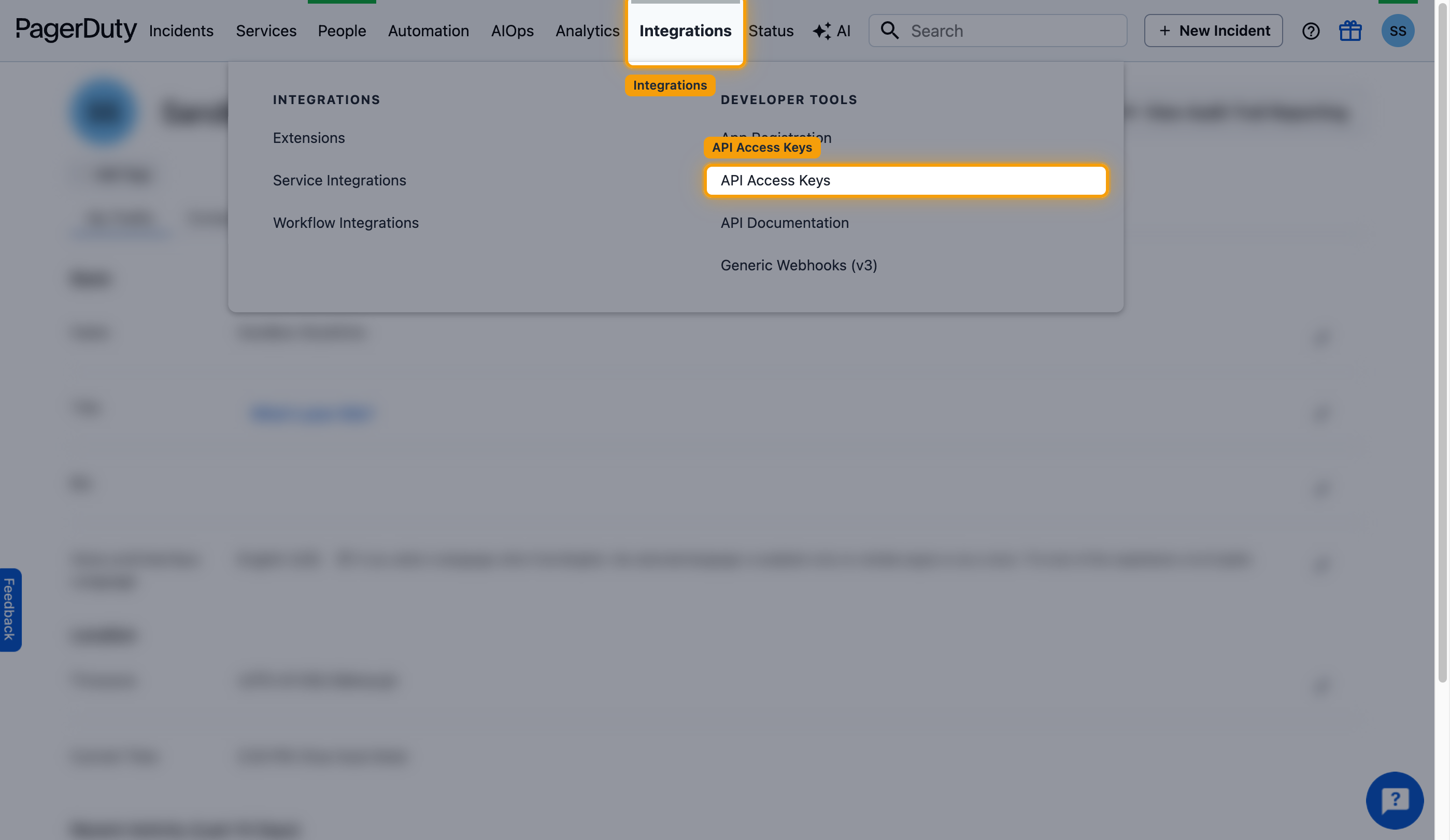 Integrations menu with API Access Keys highlighted under Developer Tools.