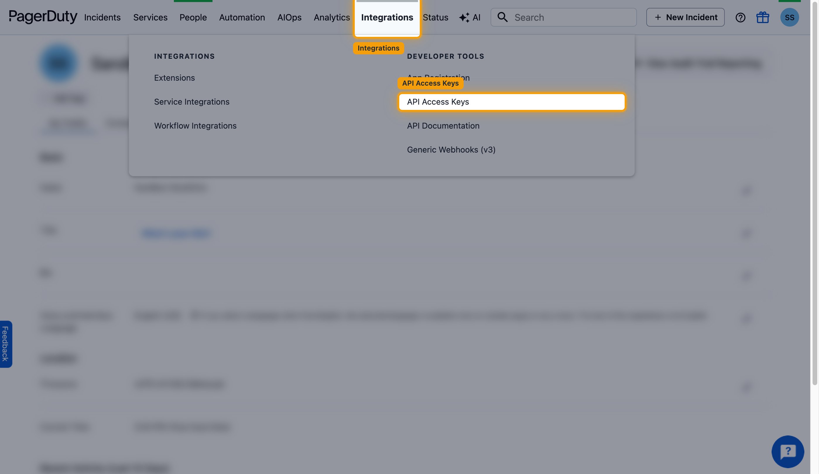 Integrations menu with API Access Keys highlighted under Developer Tools.