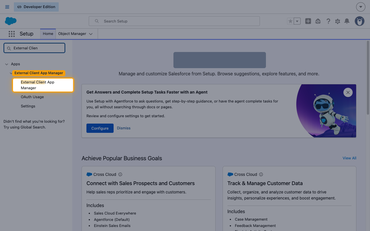 The Setup sidebar filtered to External Client Apps with External Client App Manager highlighted