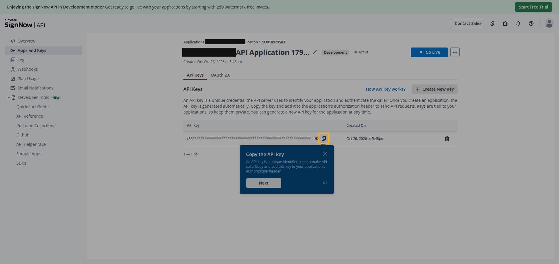 The API Keys tab of an application showing the masked API Key value with its copy button highlighted