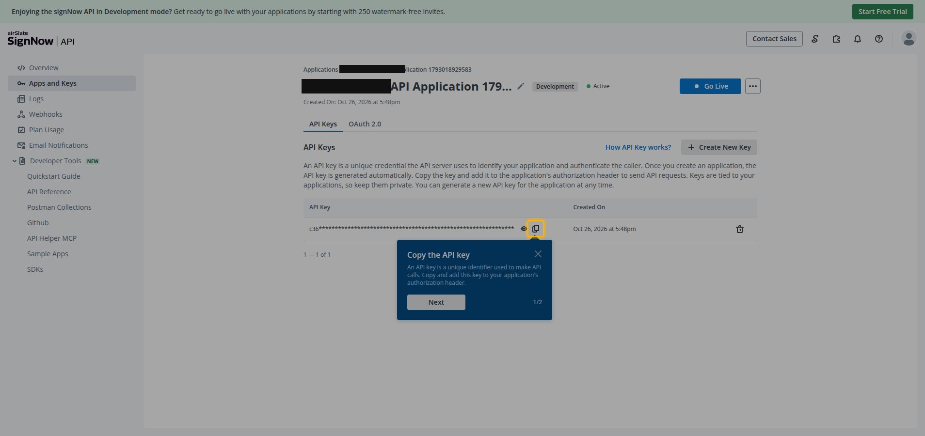 The API Keys tab of an application showing the masked API Key value with its copy button highlighted