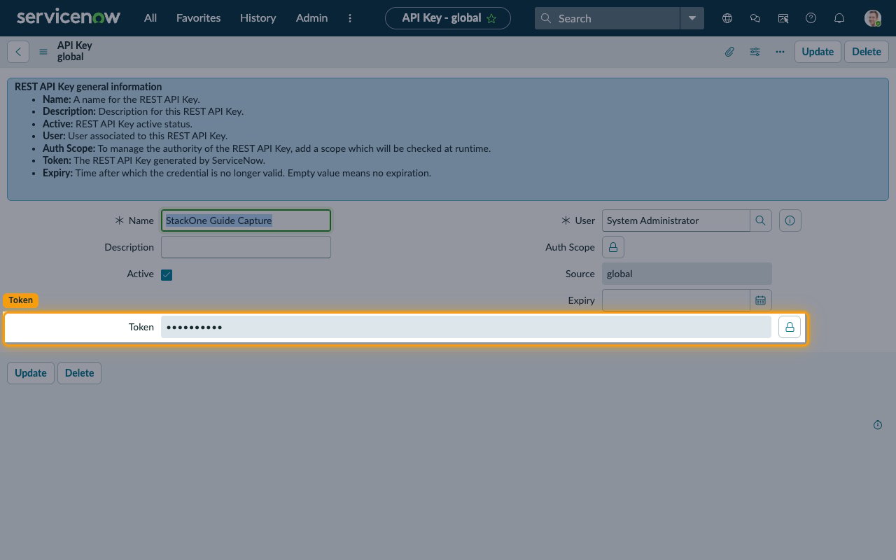Saved REST API Key record with the masked Token field highlighted