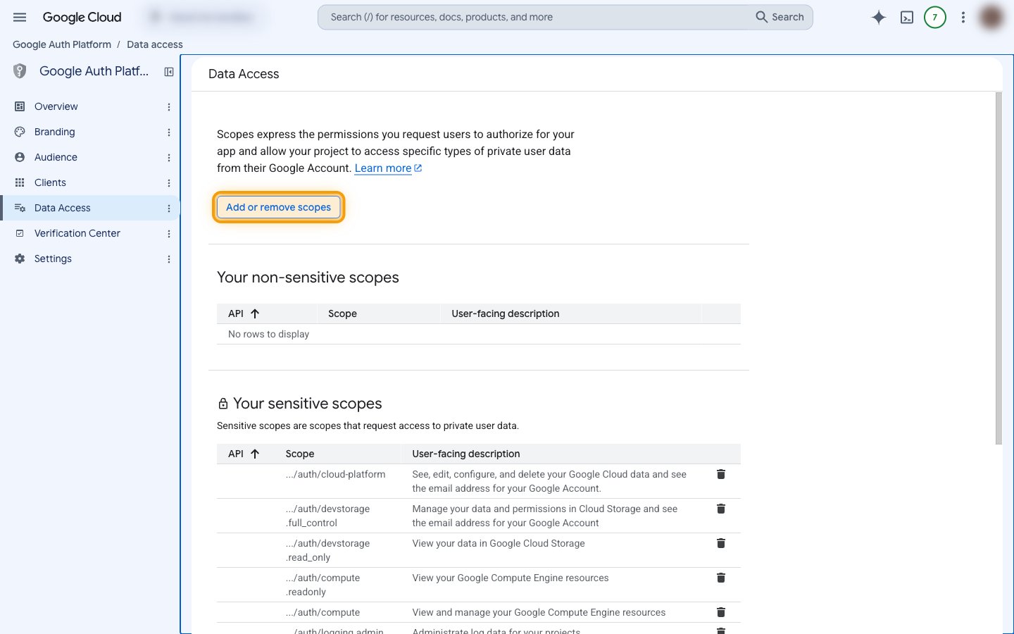 The Data Access page with the Add or remove scopes button highlighted