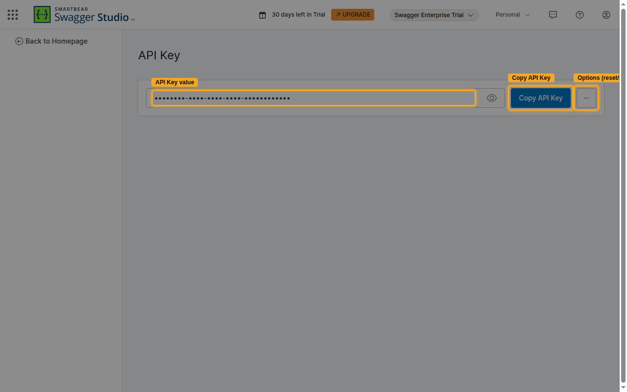 The Swagger Studio API Key page showing the masked key value, the Copy API Key button and the options menu