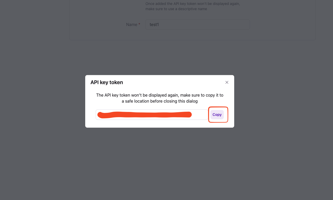 API key token dialog with the Copy button