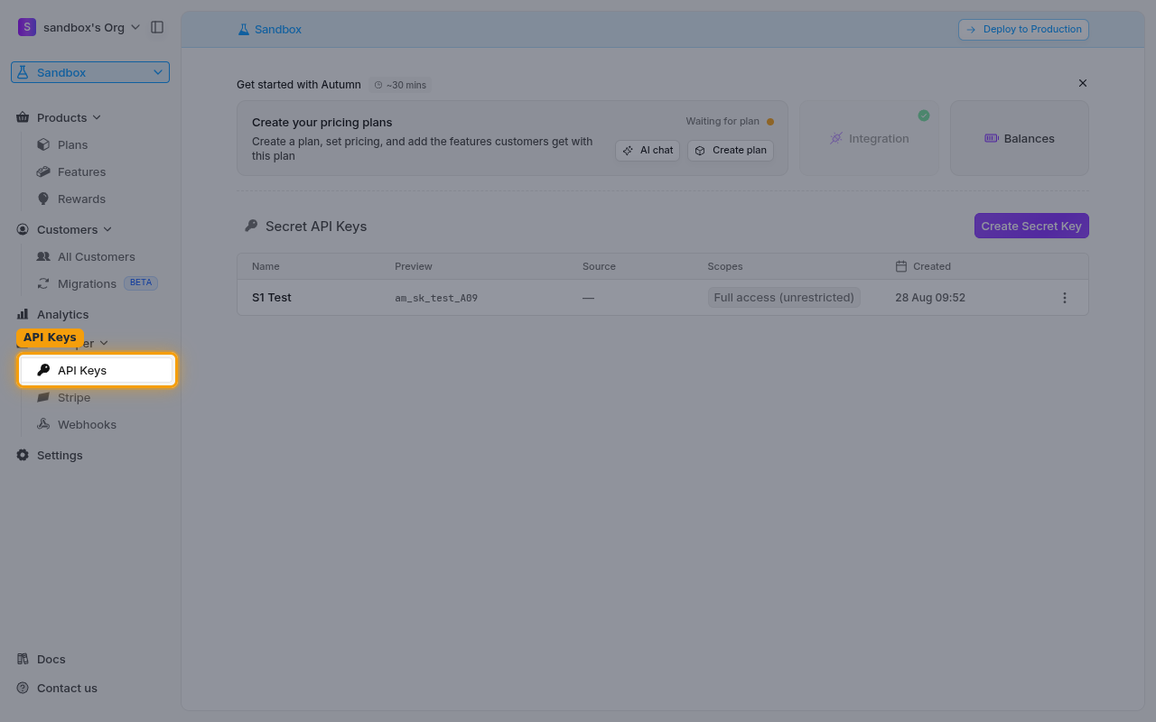 The Developer API Keys page showing the Secret API Keys panel