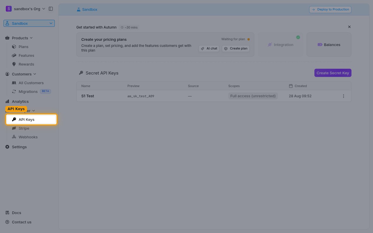 The Developer API Keys page showing the Secret API Keys panel