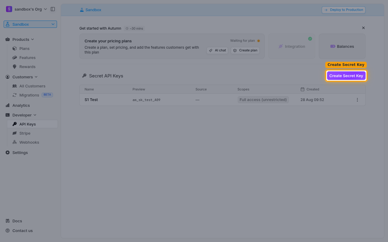 The Create Secret Key button on the Secret API Keys panel