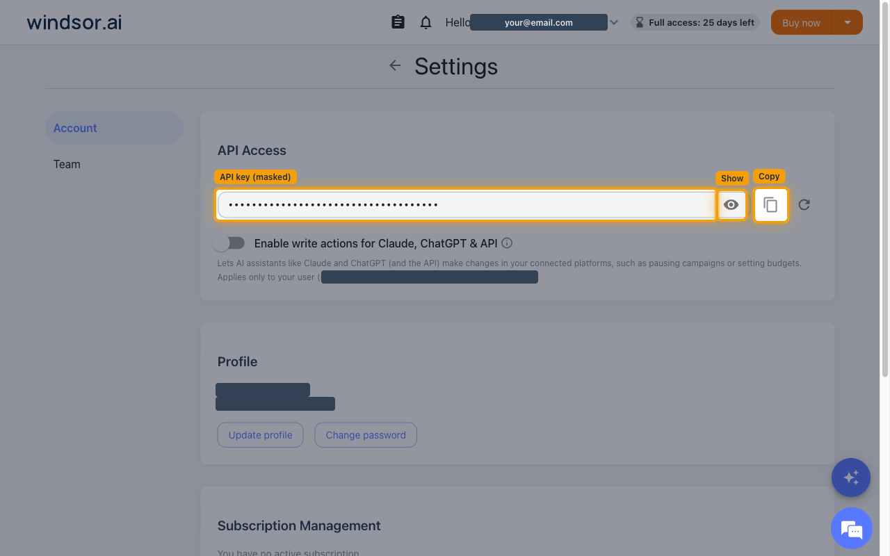 The Settings page on the Account tab, with the API Access section showing the masked API key field and its reveal and copy buttons highlighted.
