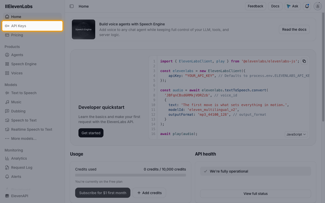 ElevenAPI home page with API Keys highlighted in the sidebar