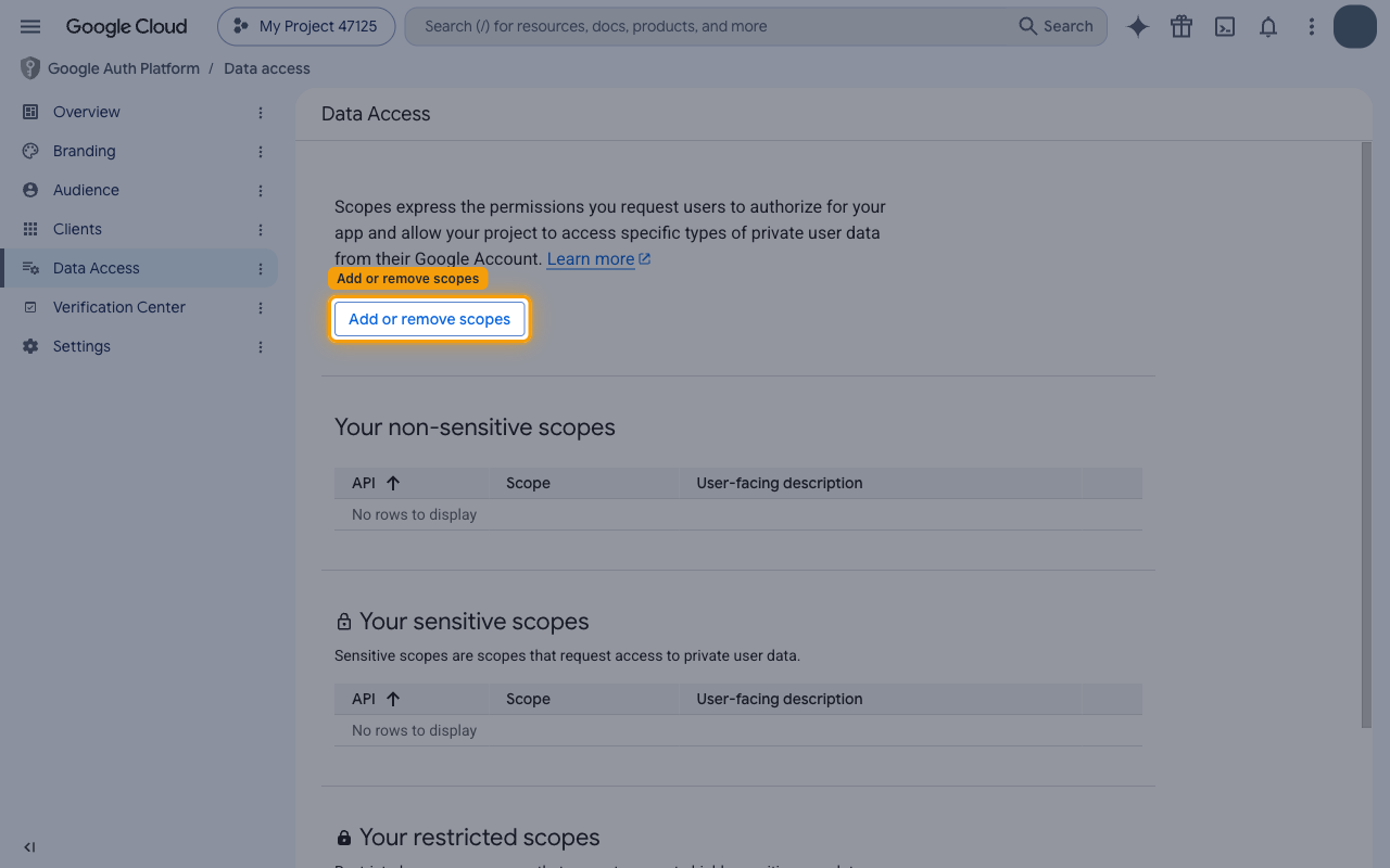 Data Access page with the Add or remove scopes button highlighted