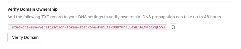 Domain verification section showing the DNS TXT record to add