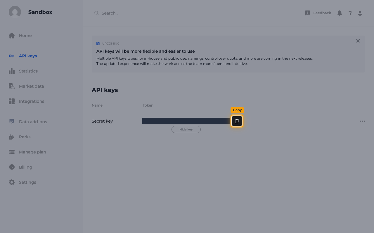 The revealed Secret key token, masked in this image, with the copy button next to it highlighted