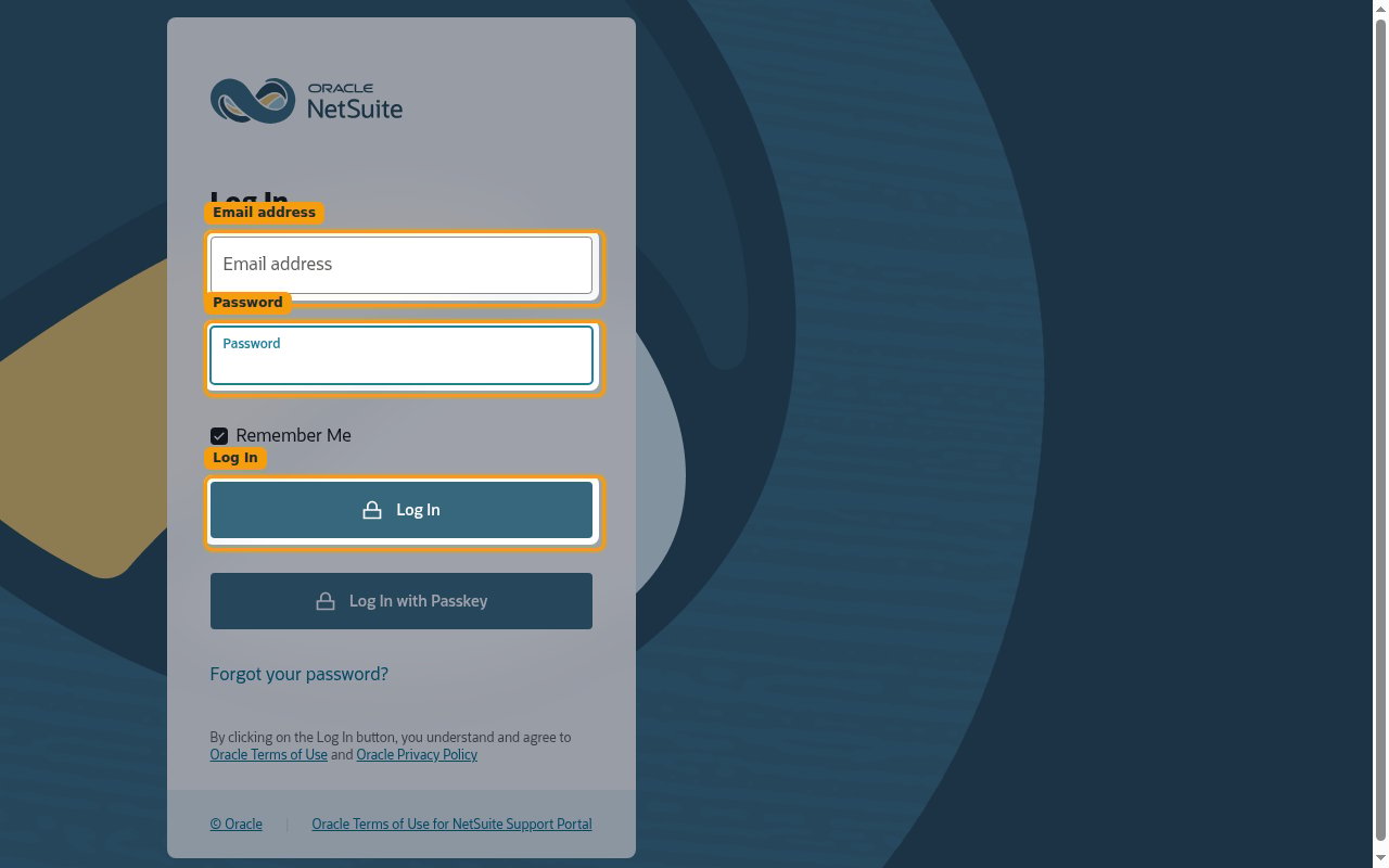 NetSuite Log In screen with Email address and Password fields