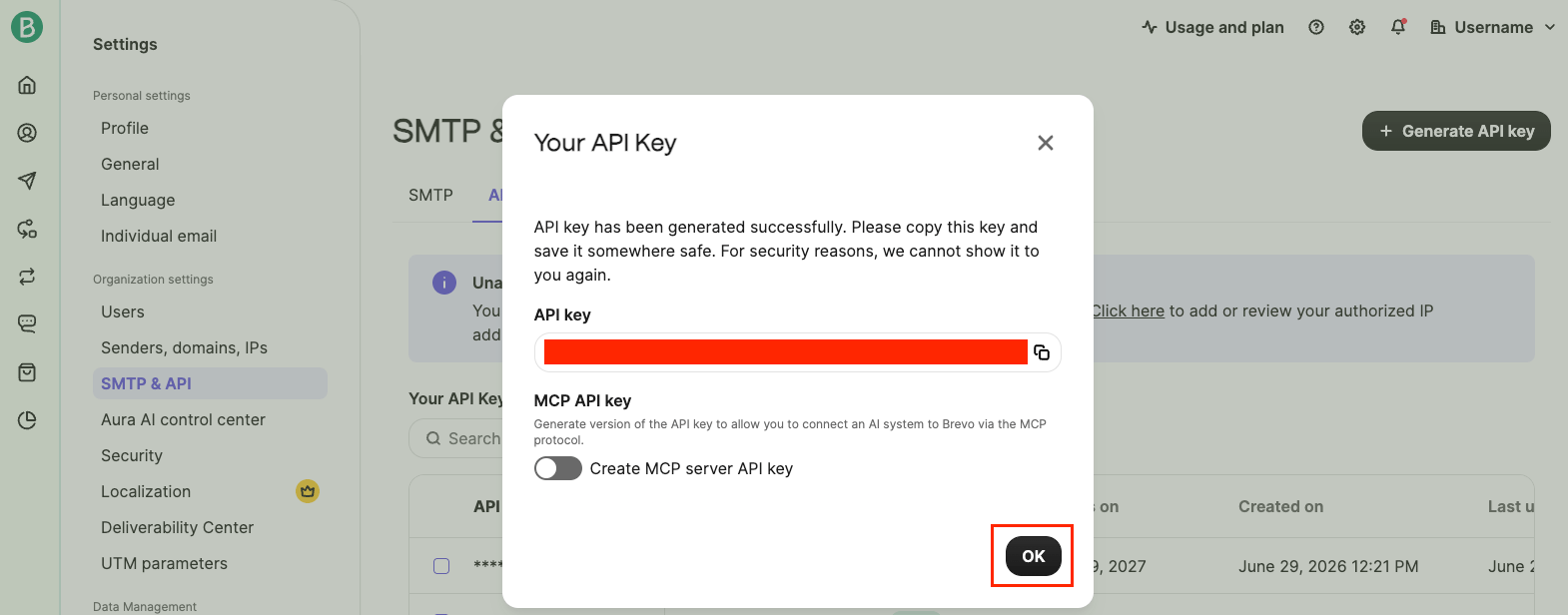 Your API Key dialog showing the generated key with a copy button