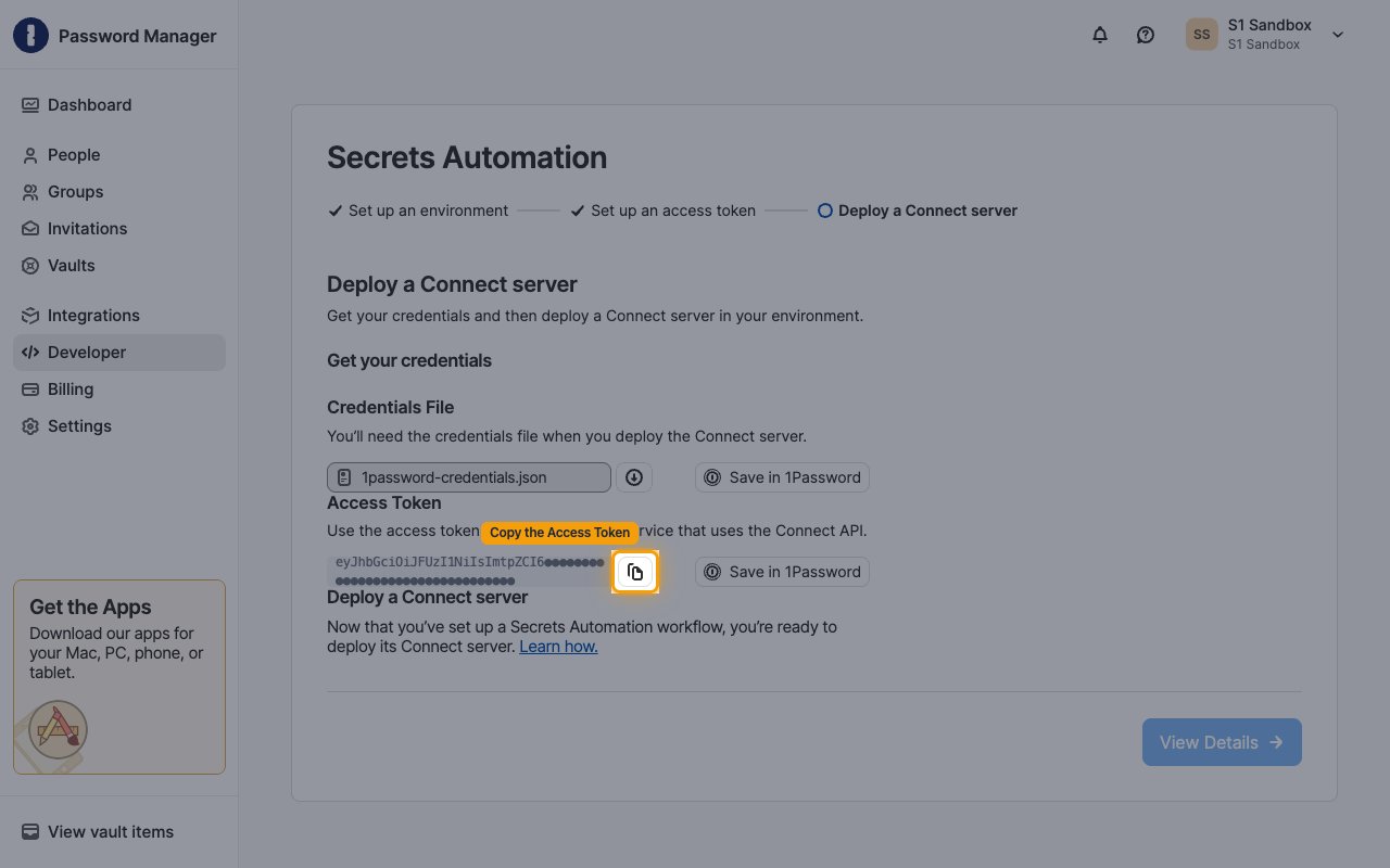 Get your credentials screen with the Access Token copy button highlighted and the token value redacted