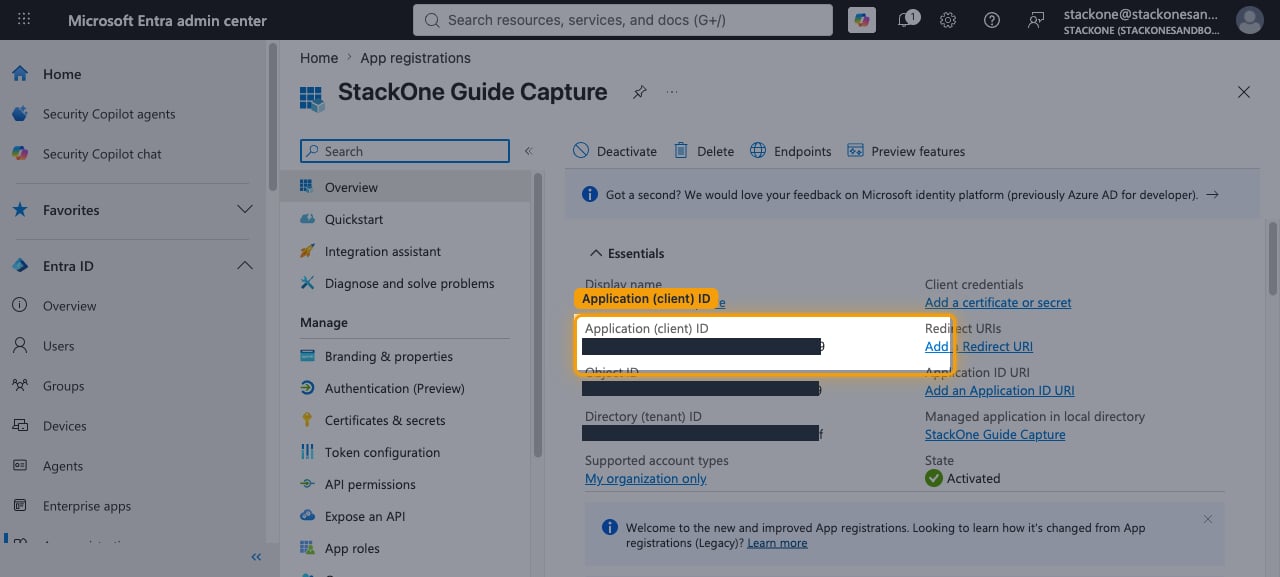 App Overview page showing the Essentials section with the Application (client) ID field