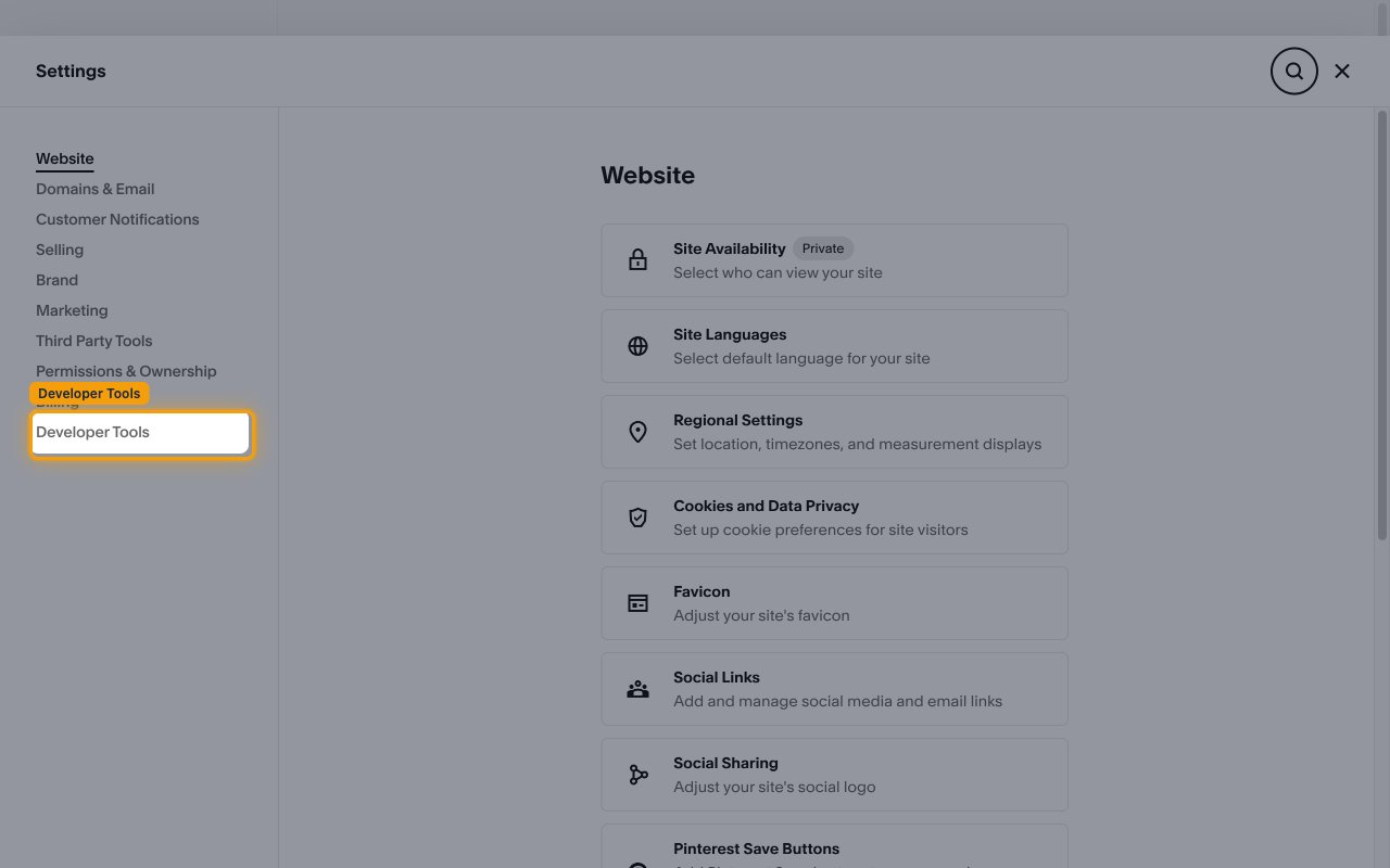 Squarespace Settings panel with the Developer Tools menu item highlighted