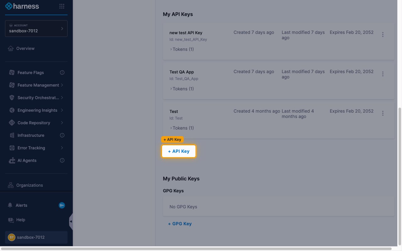 My API Keys section with the + API Key button highlighted