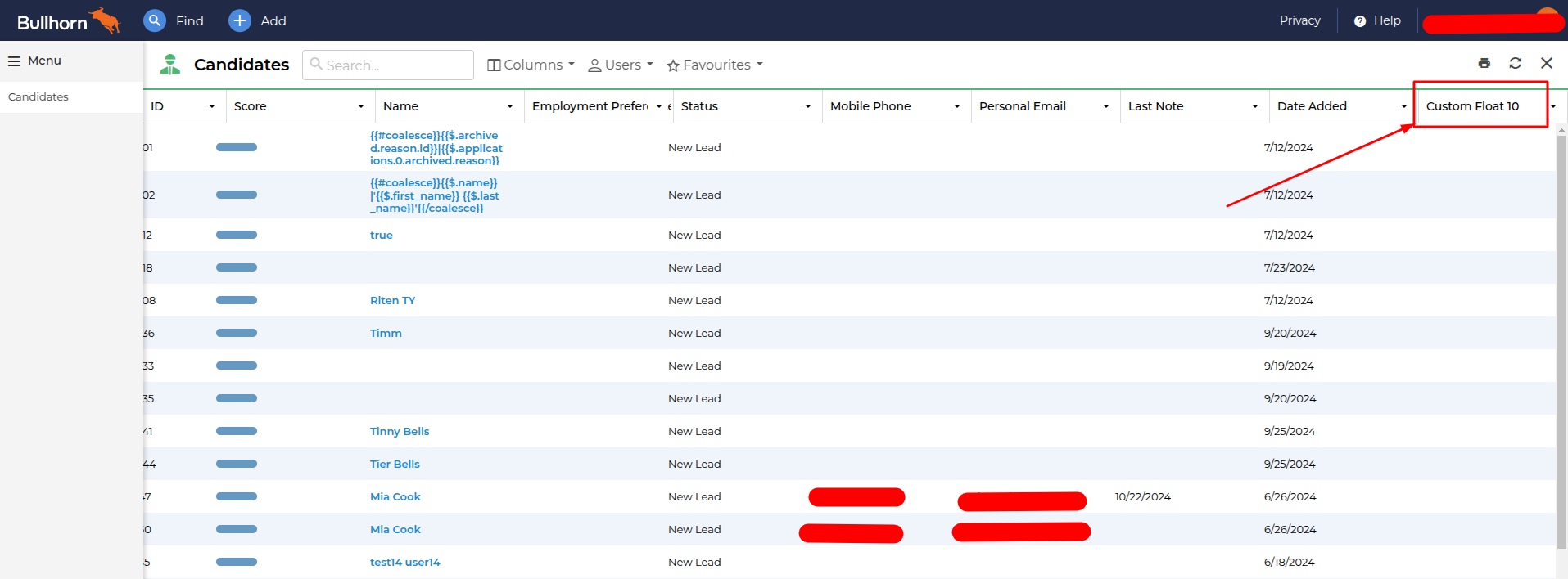 Custom fields view in the table