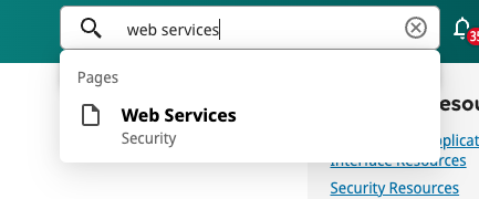 Web Services Search