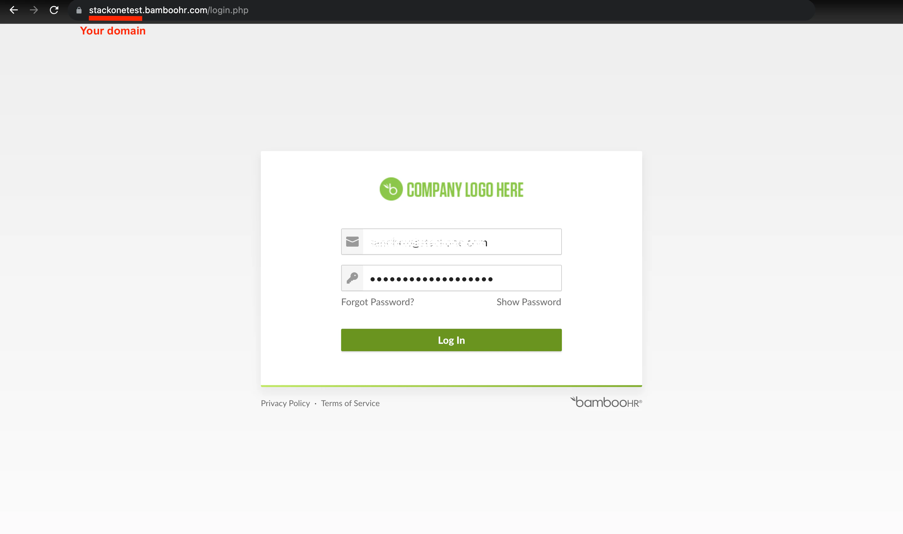 Company Domain