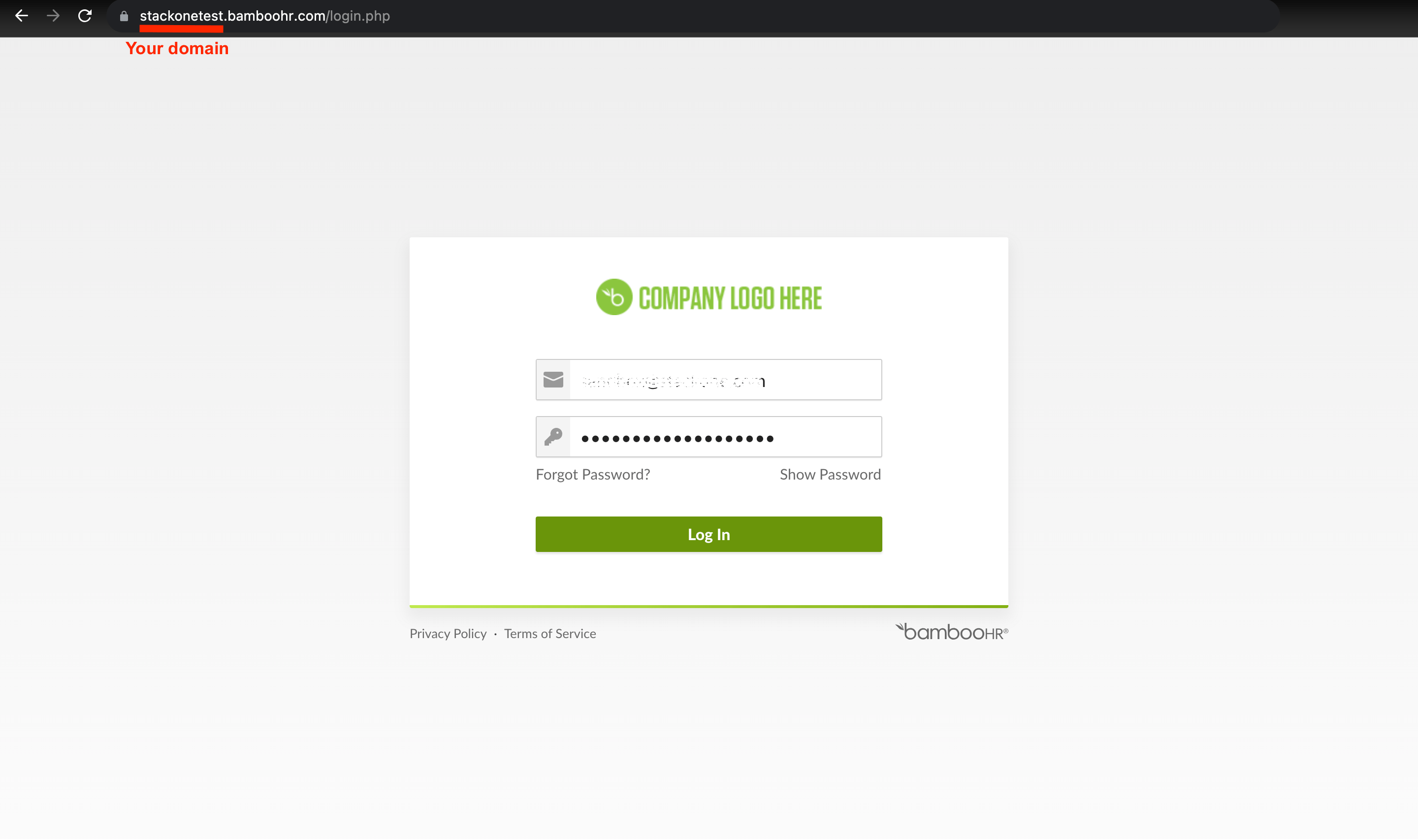Company Domain