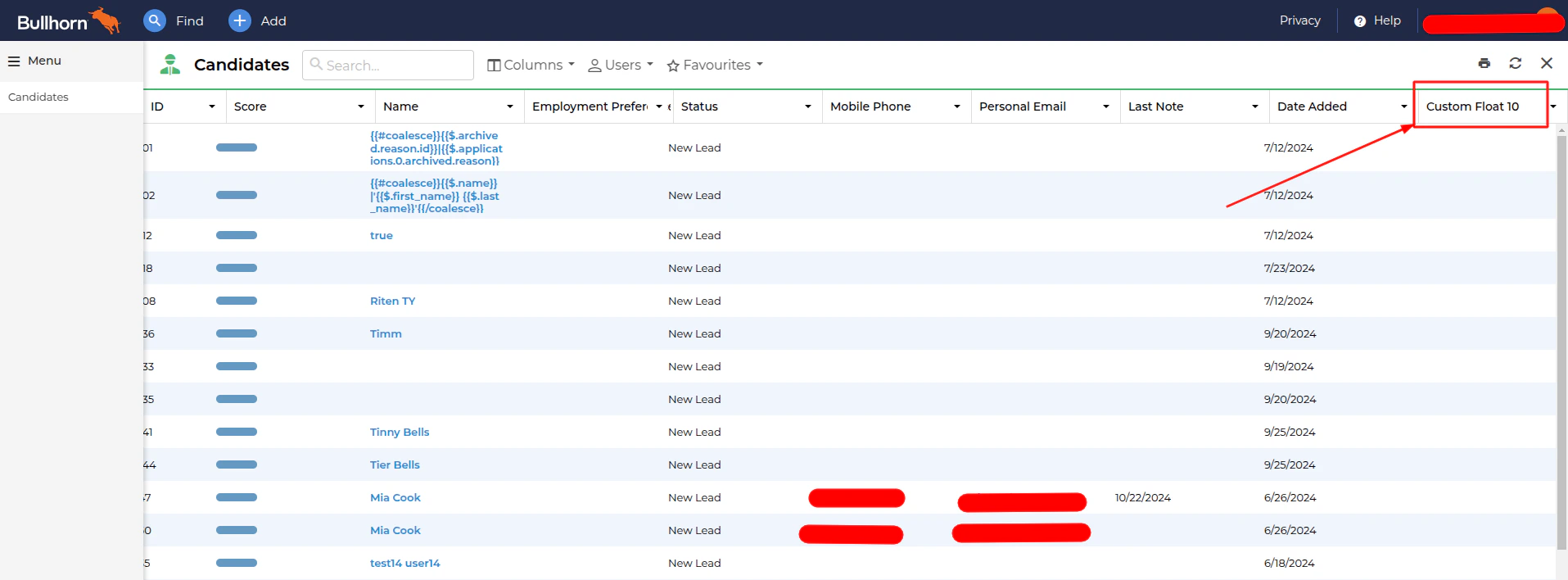 Custom fields view in the table
