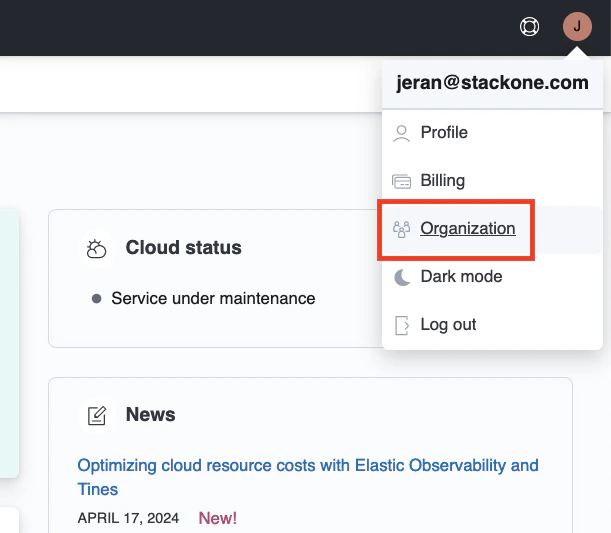 Elastic Organization
