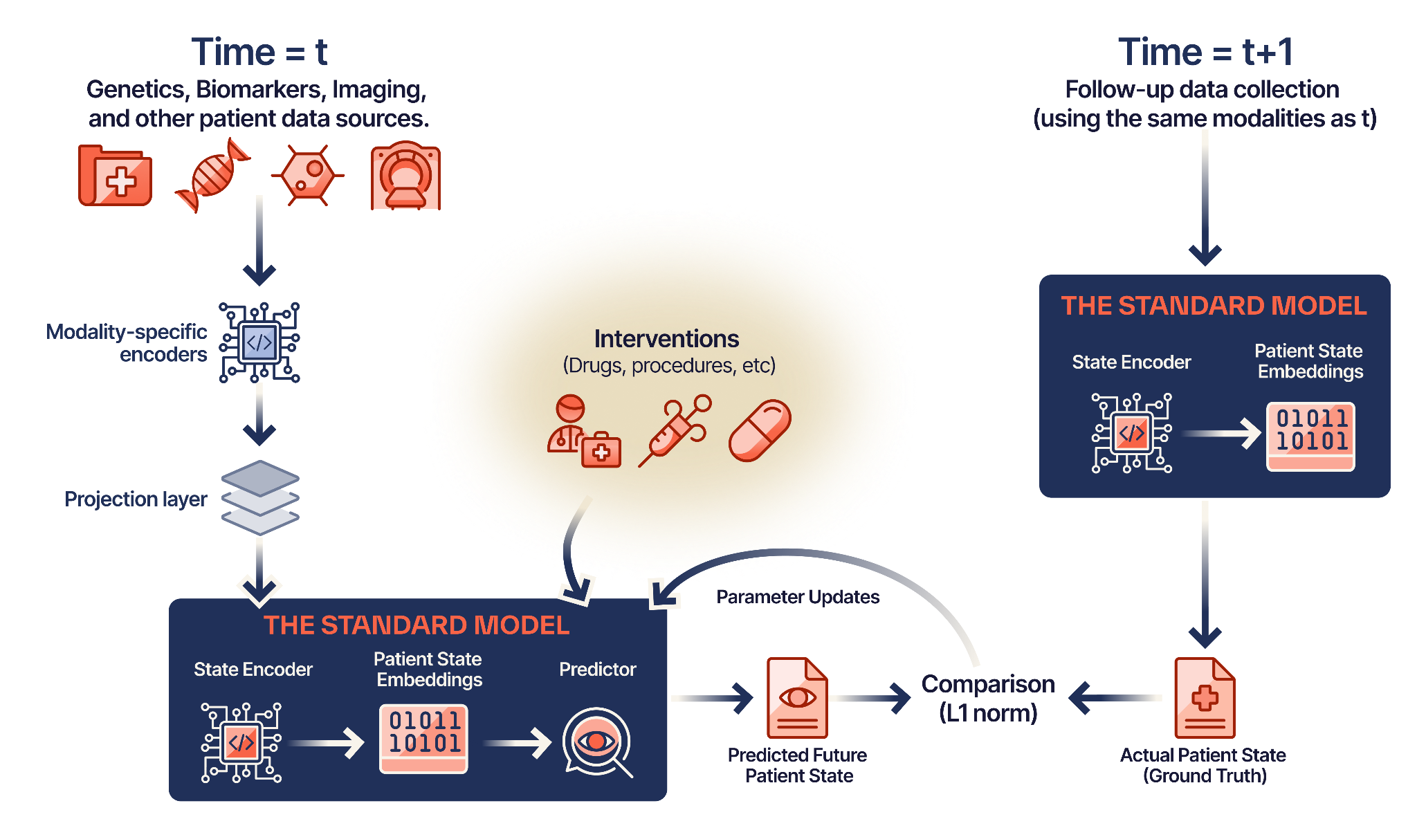 Standard Model Architecture