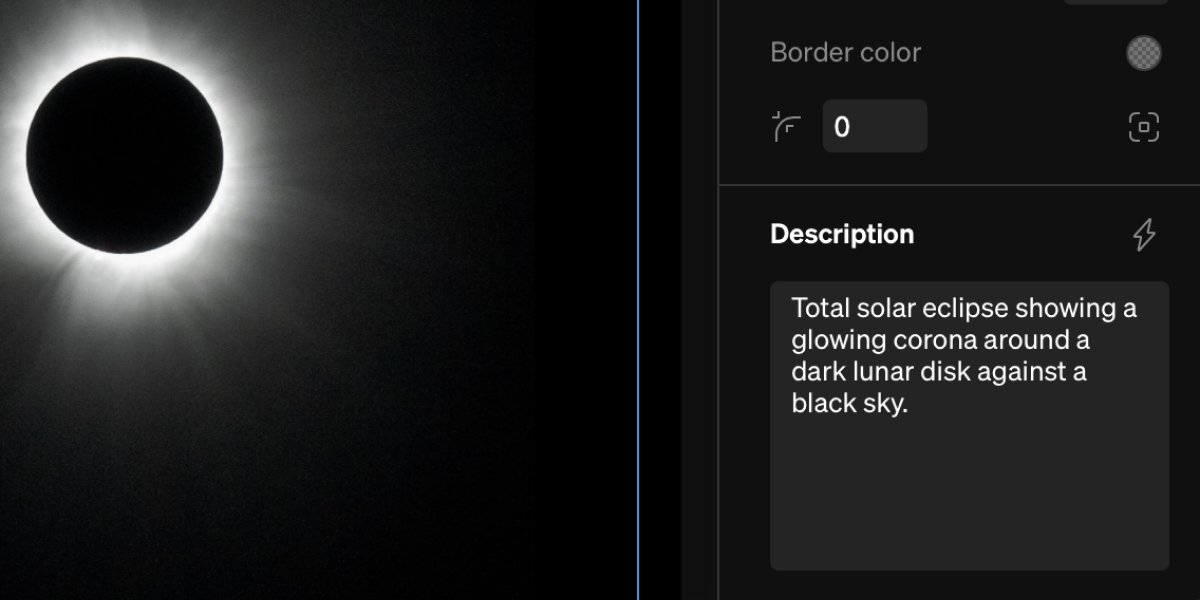 Accessibility Media Description