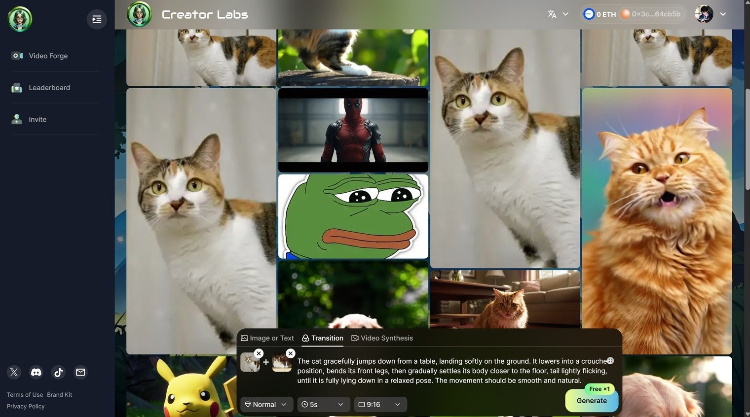 Transition 1 Preview