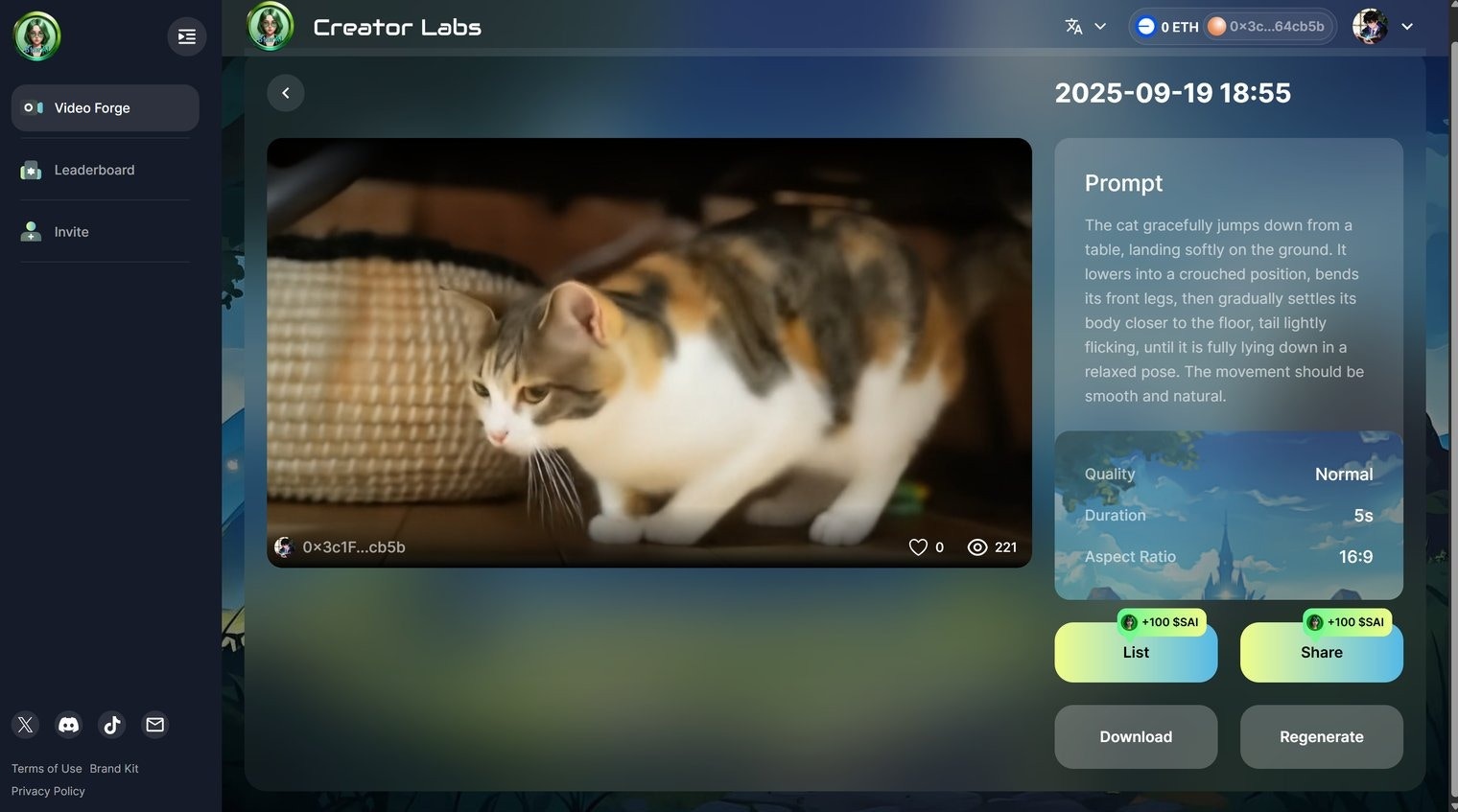 Transition 2 Preview