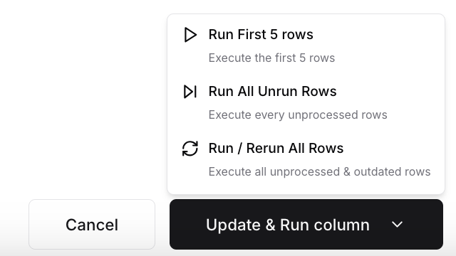 Run/rerun options for executing a column