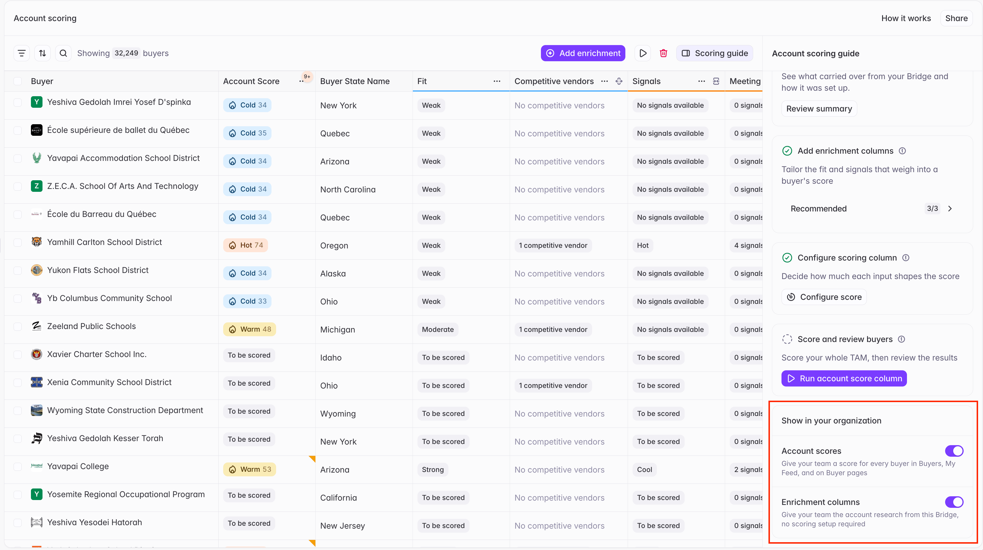 Show in your organization: Account scores and Enrichment columns toggles