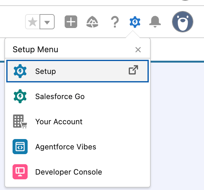 Salesforce Setup menu