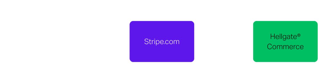 Back Up Stripe.com Tokens - Hellgate Cloud Platform