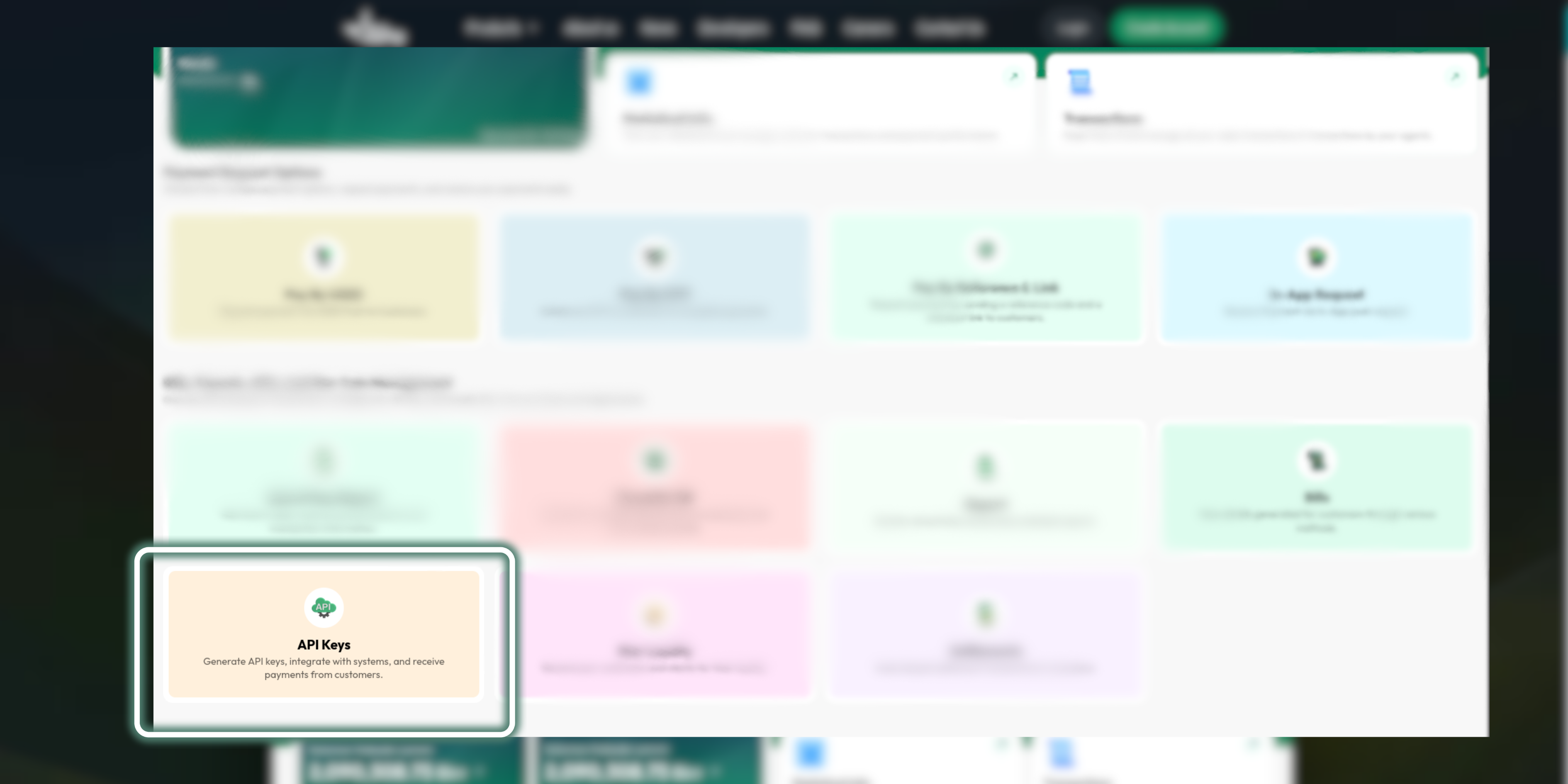 Navigate to API Keys