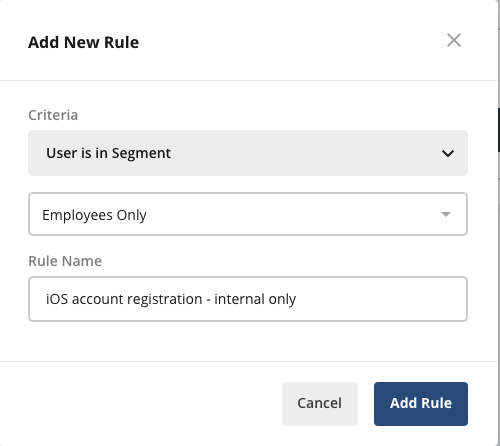 User segment targeting rule configuration