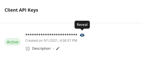 Statsig API key location