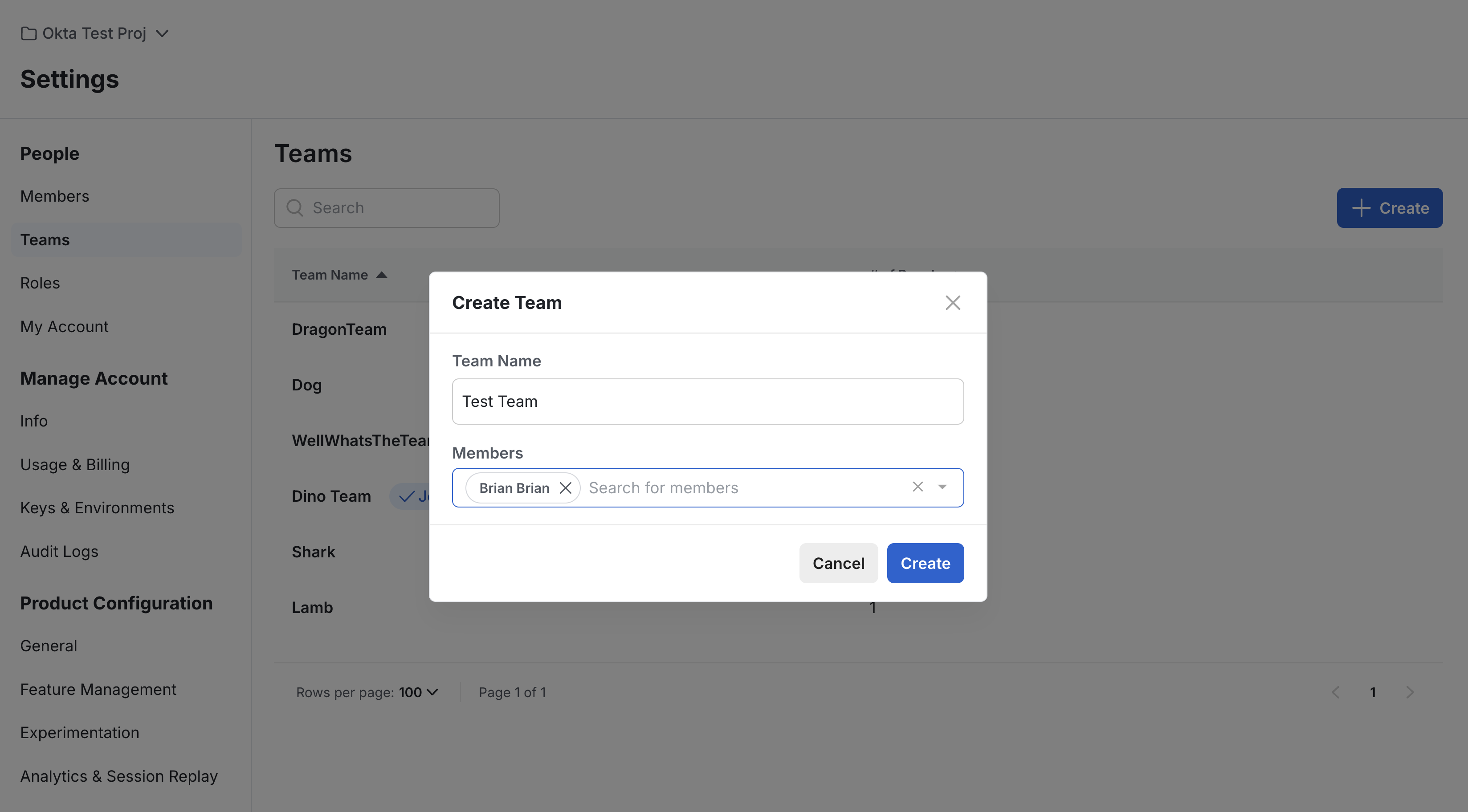 Statsig project team creation dialog showing fields for team name and members