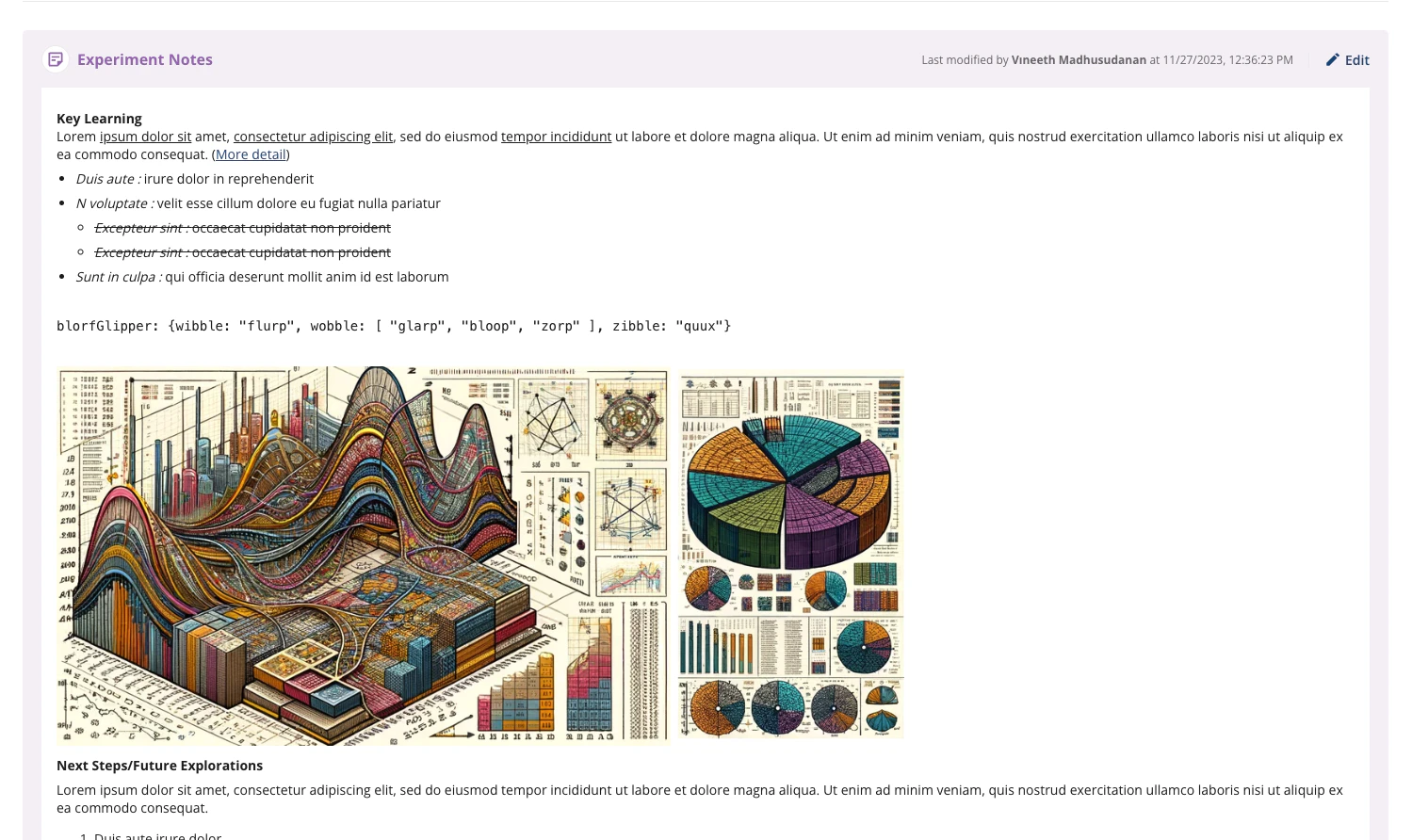 Report editor with rich text content