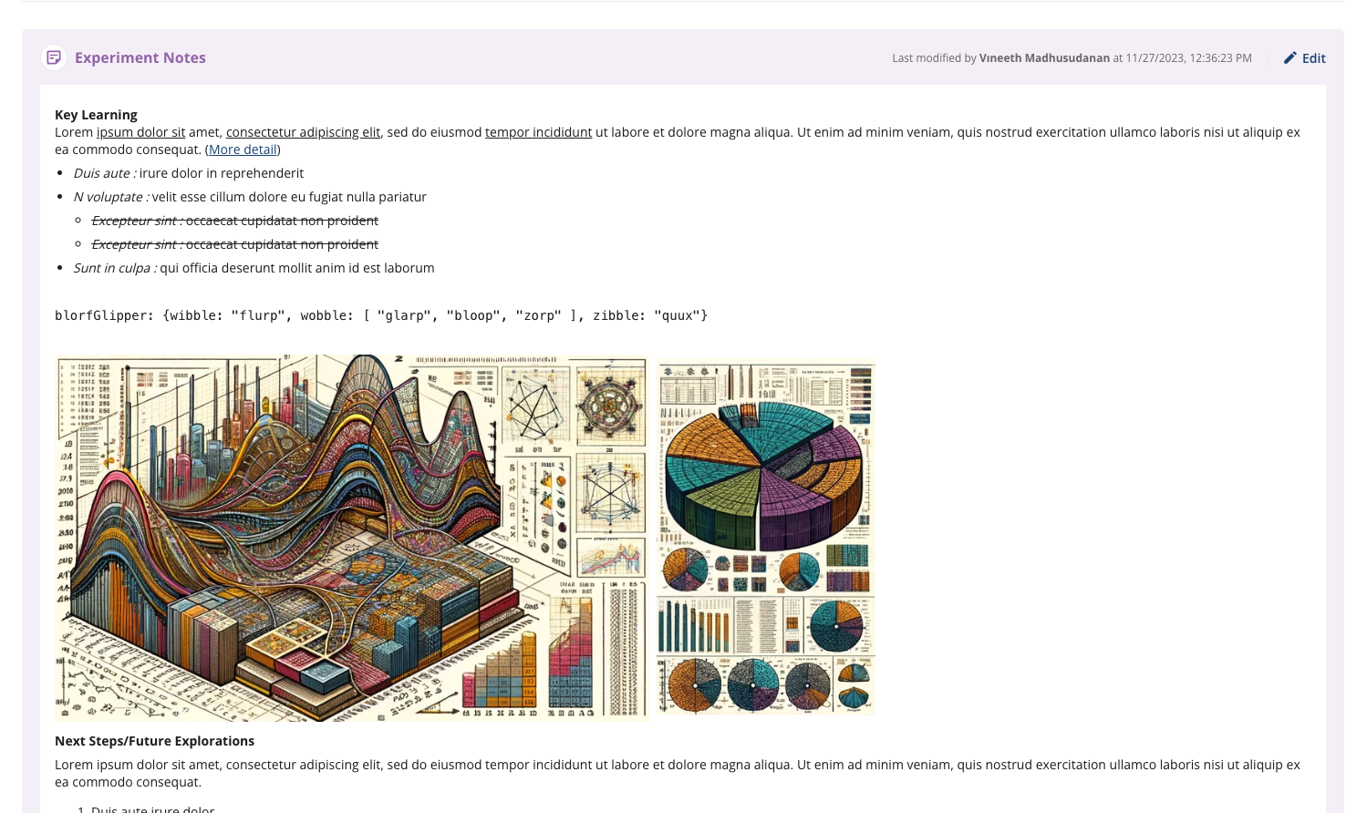 Report editor with rich text content