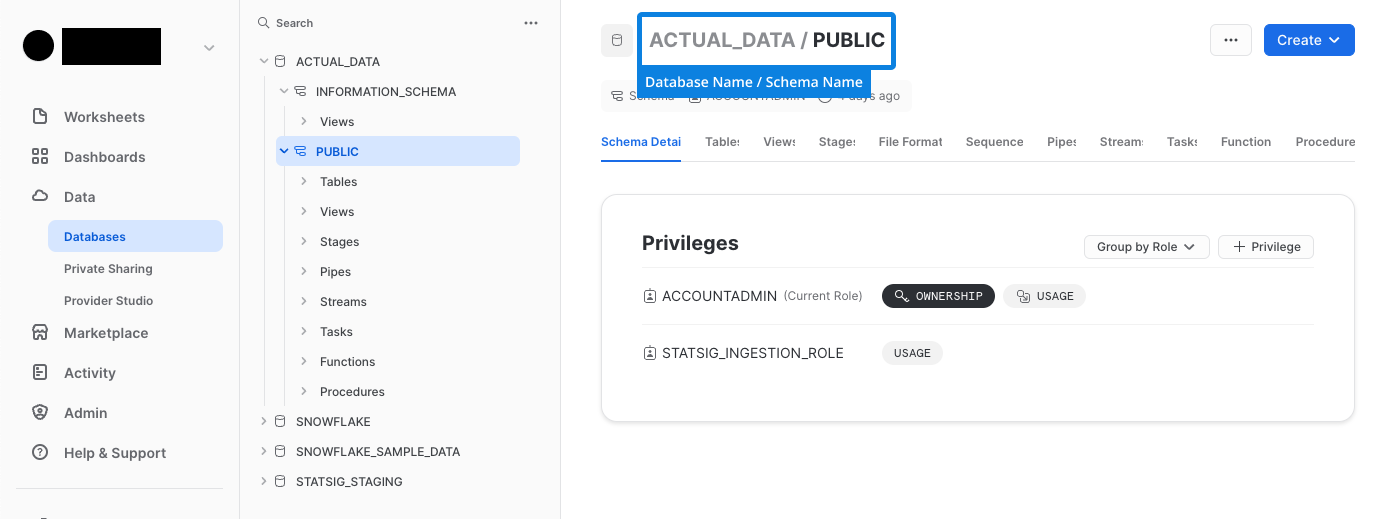 Snowflake database explorer highlighting schema selection