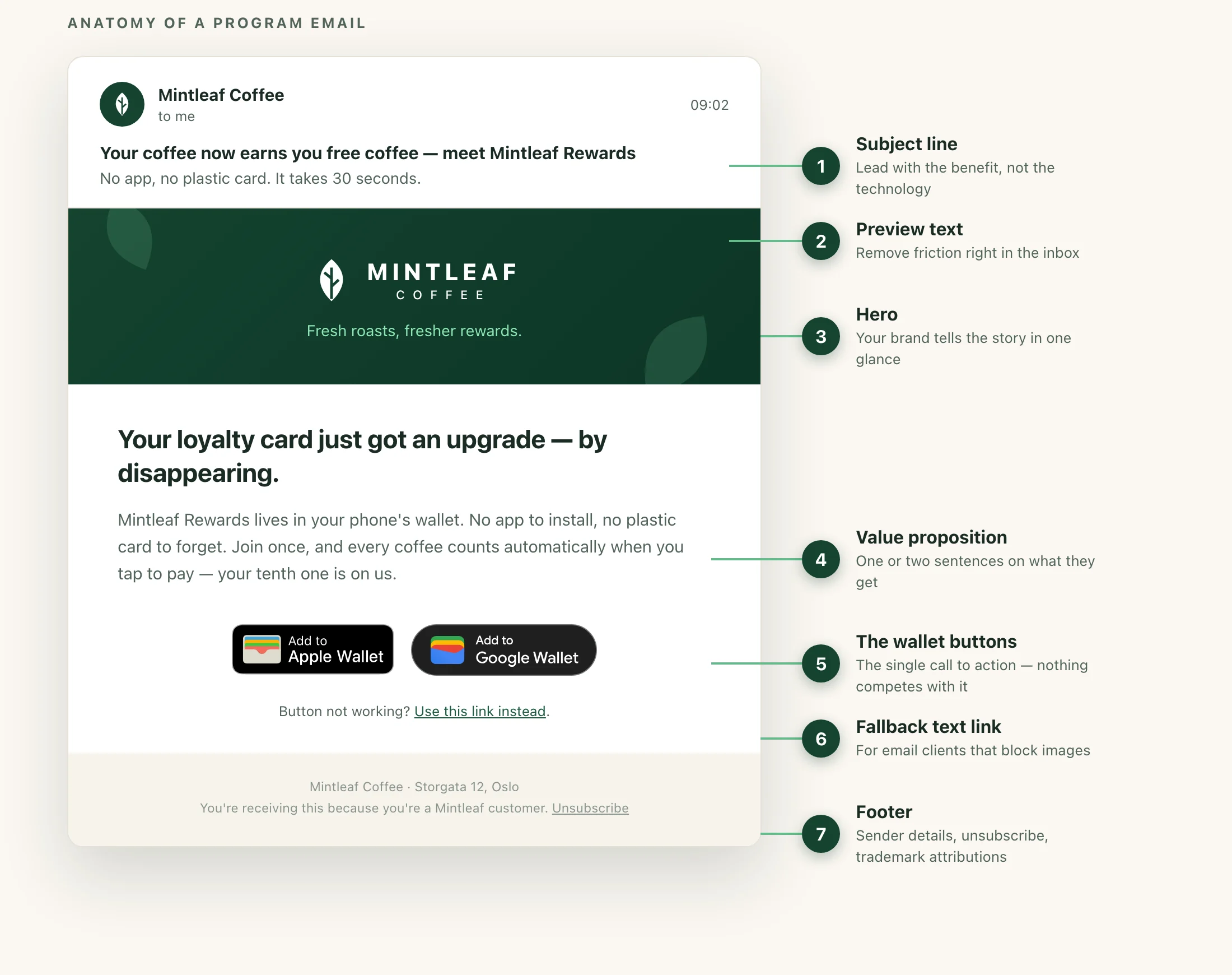 Annotated Mintleaf Rewards announcement email, with callouts for the subject line, hero image, value proposition, Add to Apple Wallet and Add to Google Wallet buttons, fallback link, and footer