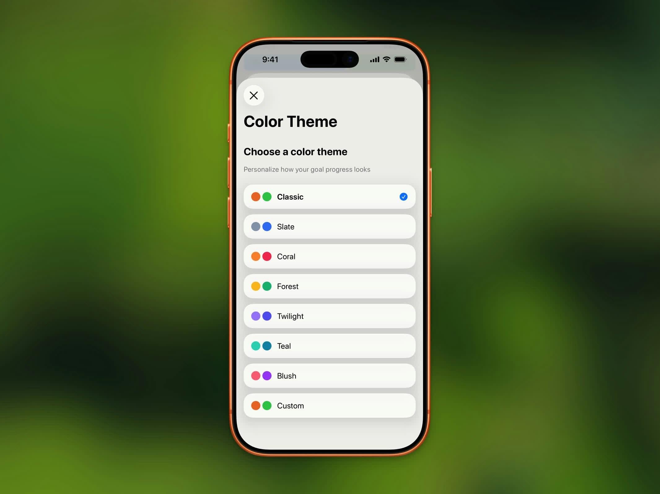 Color themes selector