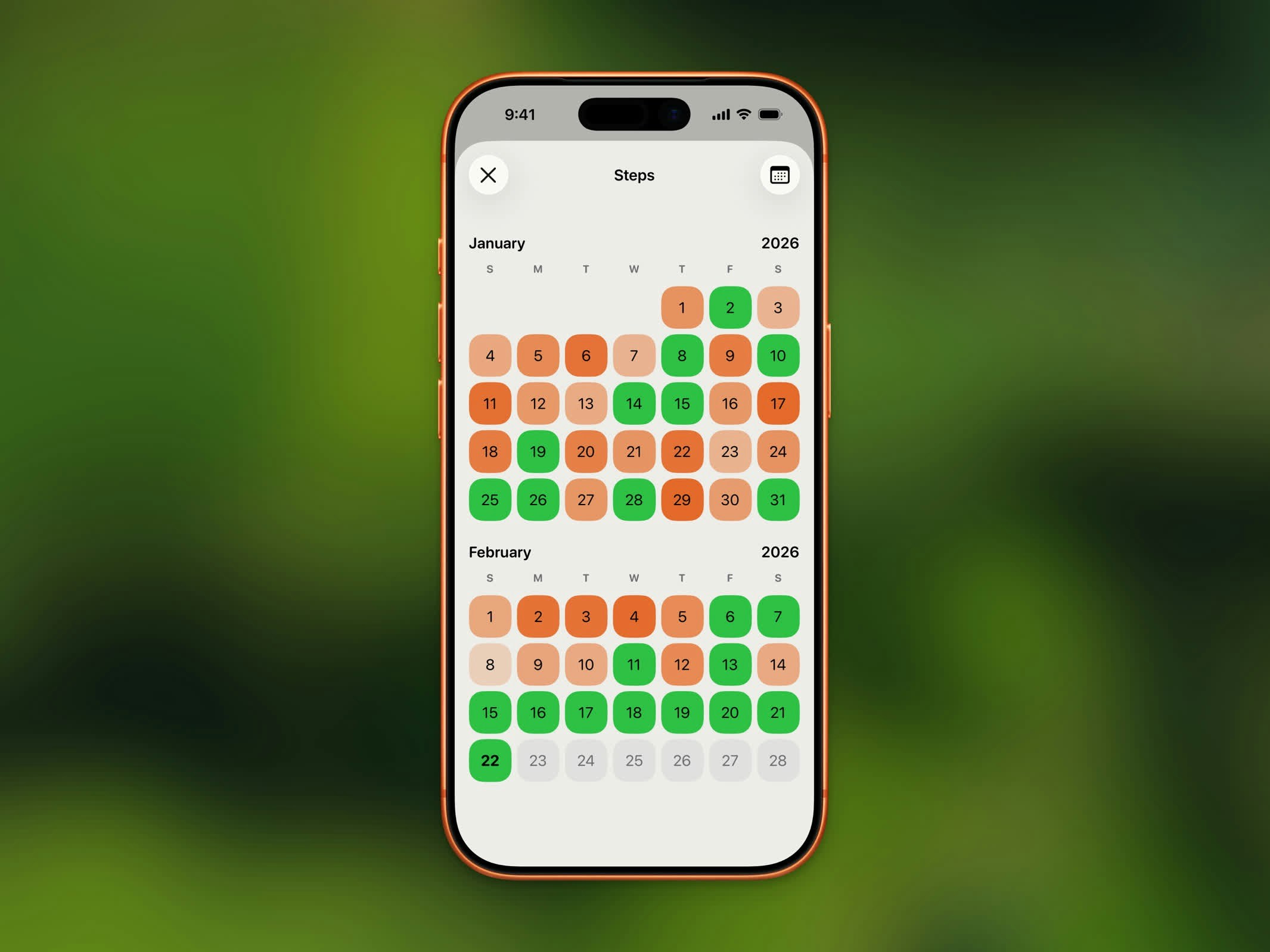 History calendar view