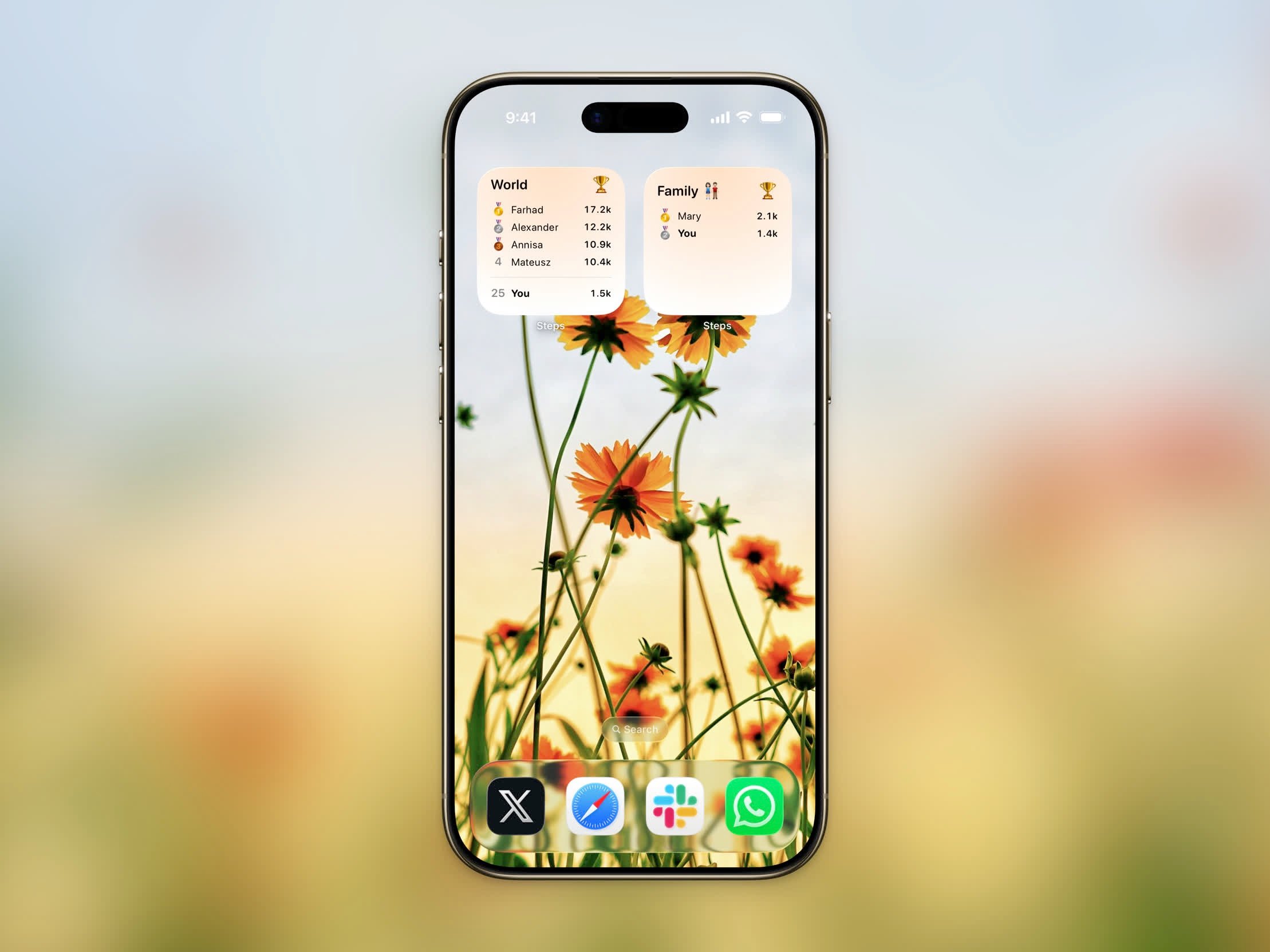 Stepboard Ranking widget