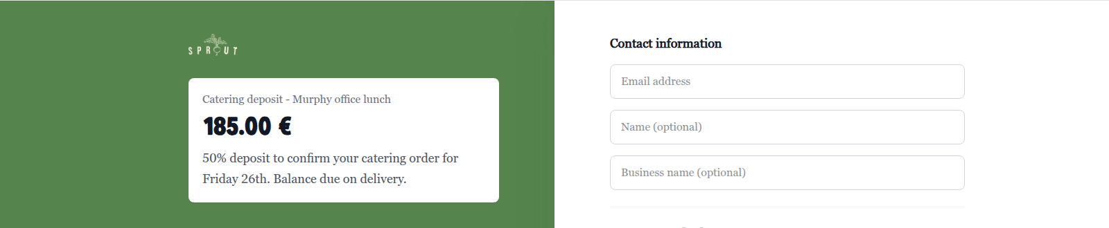 Customer checkout page for a payment link: store logo, title, amount and description on a branded panel, and Contact information fields